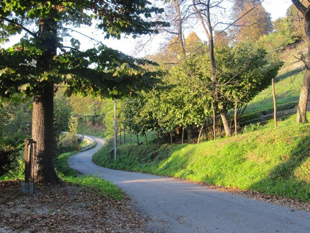 Il Merlo