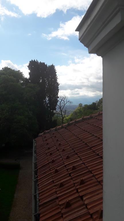 Il Merlo Turin